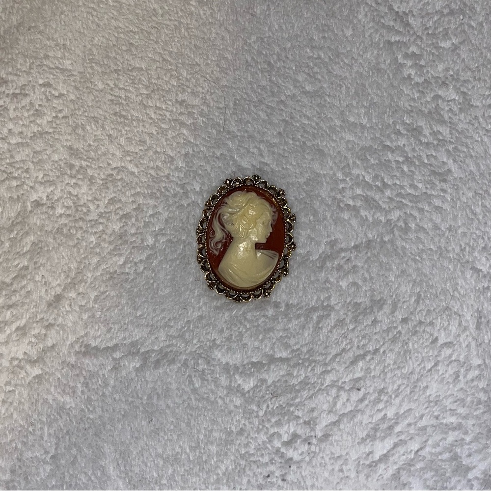 Elegant Cameo Brooch pin with Ornate Frame